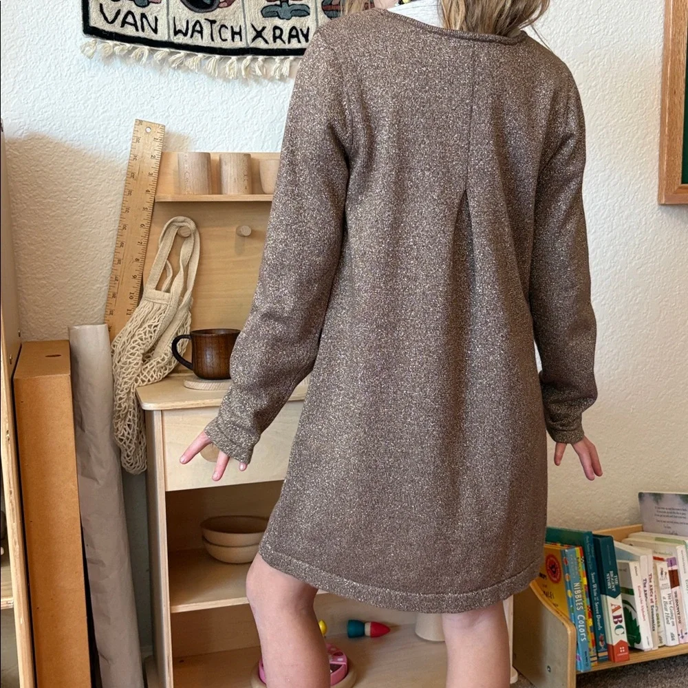 Hanna Andersson Festive Holiday Sparkling Taupe Sweater Dress with Bow
